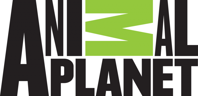 best animal planet shows