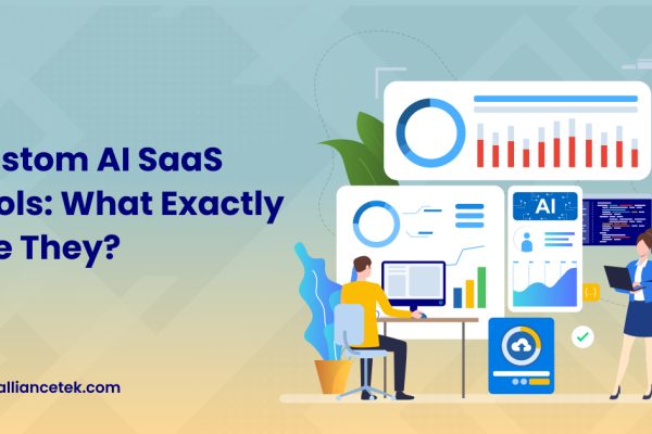 SaaS software development company